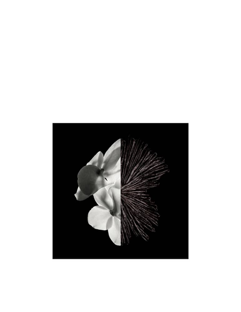 Givenchy Gentleman Eau De Parfum - immagine 3