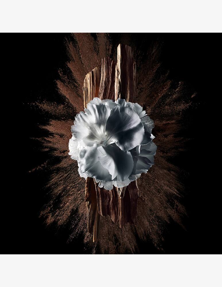 rinascente Givenchy Gentleman Society Eau de Parfum Extrême