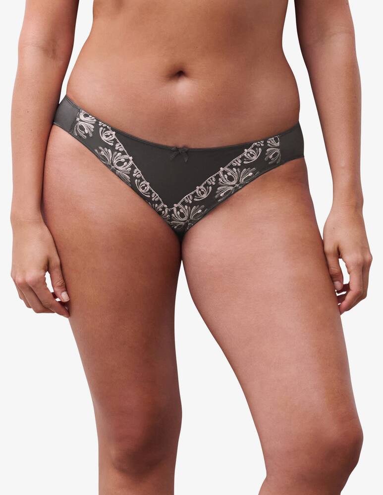rinascente Chantelle Embroidered slip