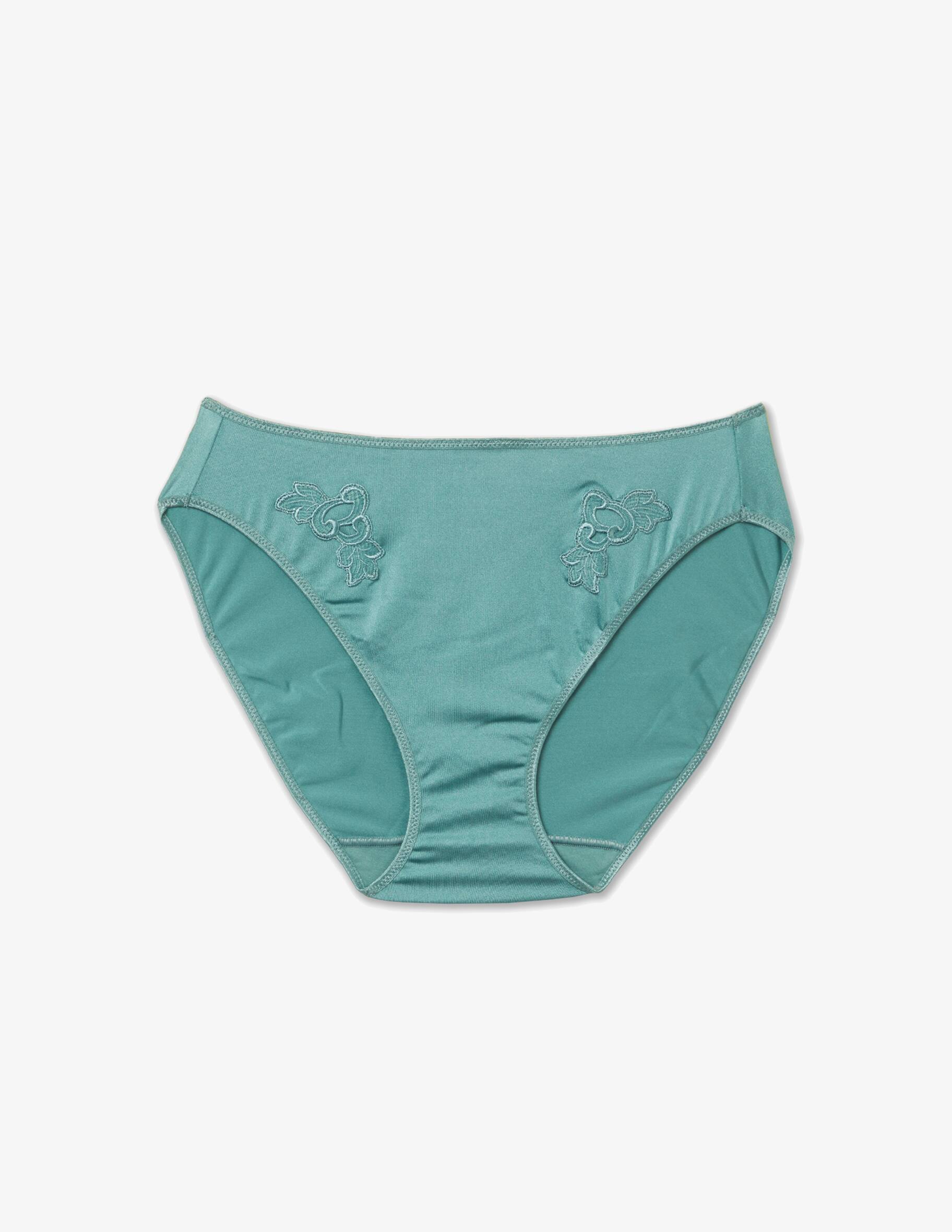 Shop Chantelle Underwear standard normal waist Light blue on Rinascente