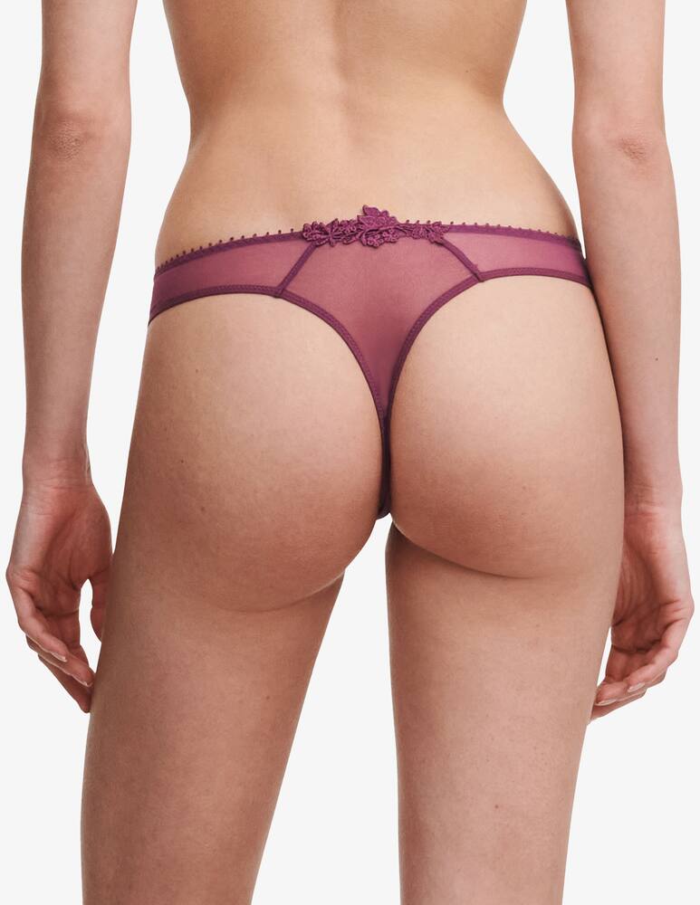 rinascente Passionata String standard normal waist