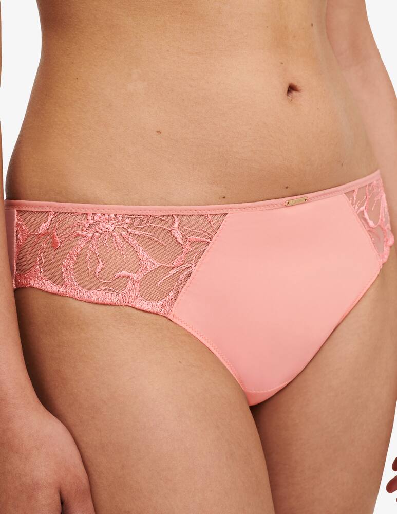 rinascente Chantelle Briefs