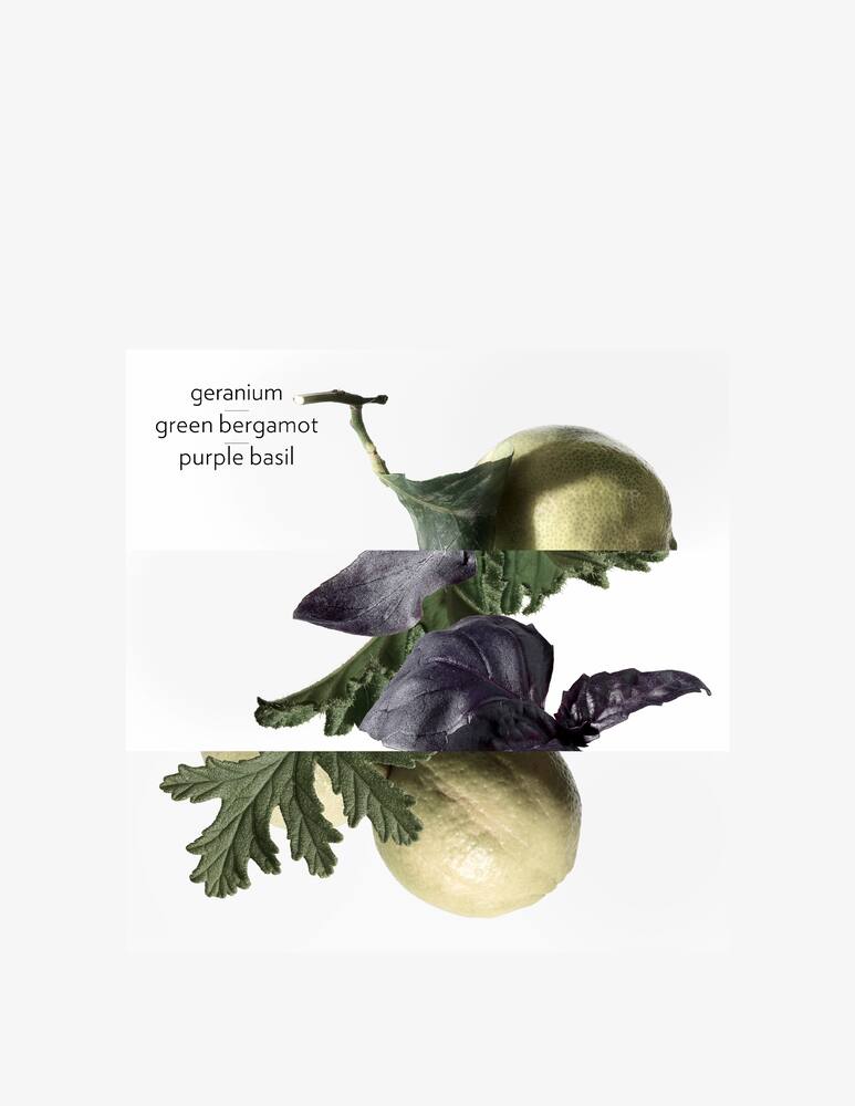 rinascente HERMÈS Eau de Basilic Pourpre Eau de Cologne