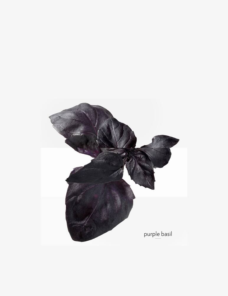 rinascente HERMÈS Eau de Basilic Pourpre Eau de Cologne