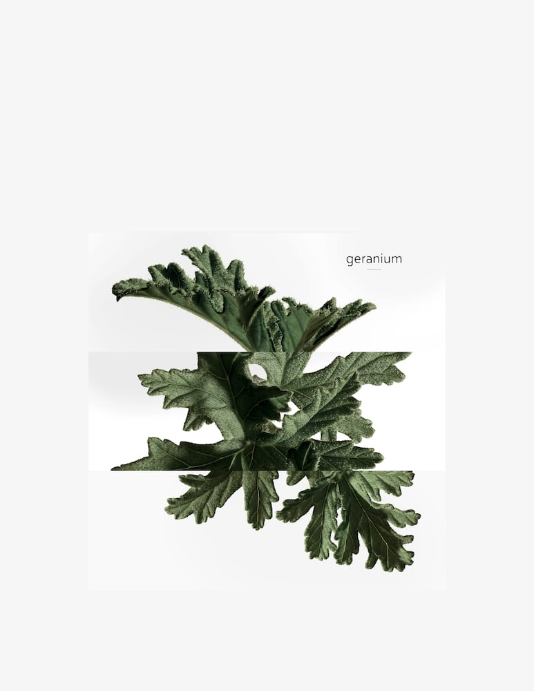 rinascente HERMÈS Eau de Basilic Pourpre Eau de Cologne