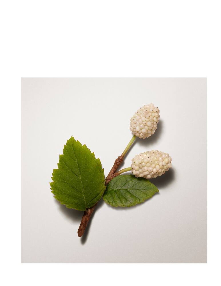 rinascente HERMÈS Plein Air complexion balm