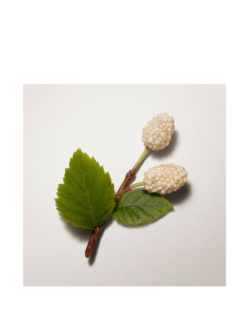 rinascente HERMÈS Plein Air complexion balm