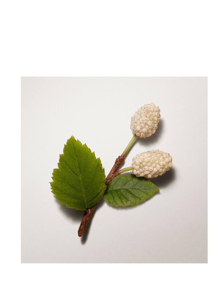 rinascente HERMÈS Plein Air Balsamo per l'incarnato