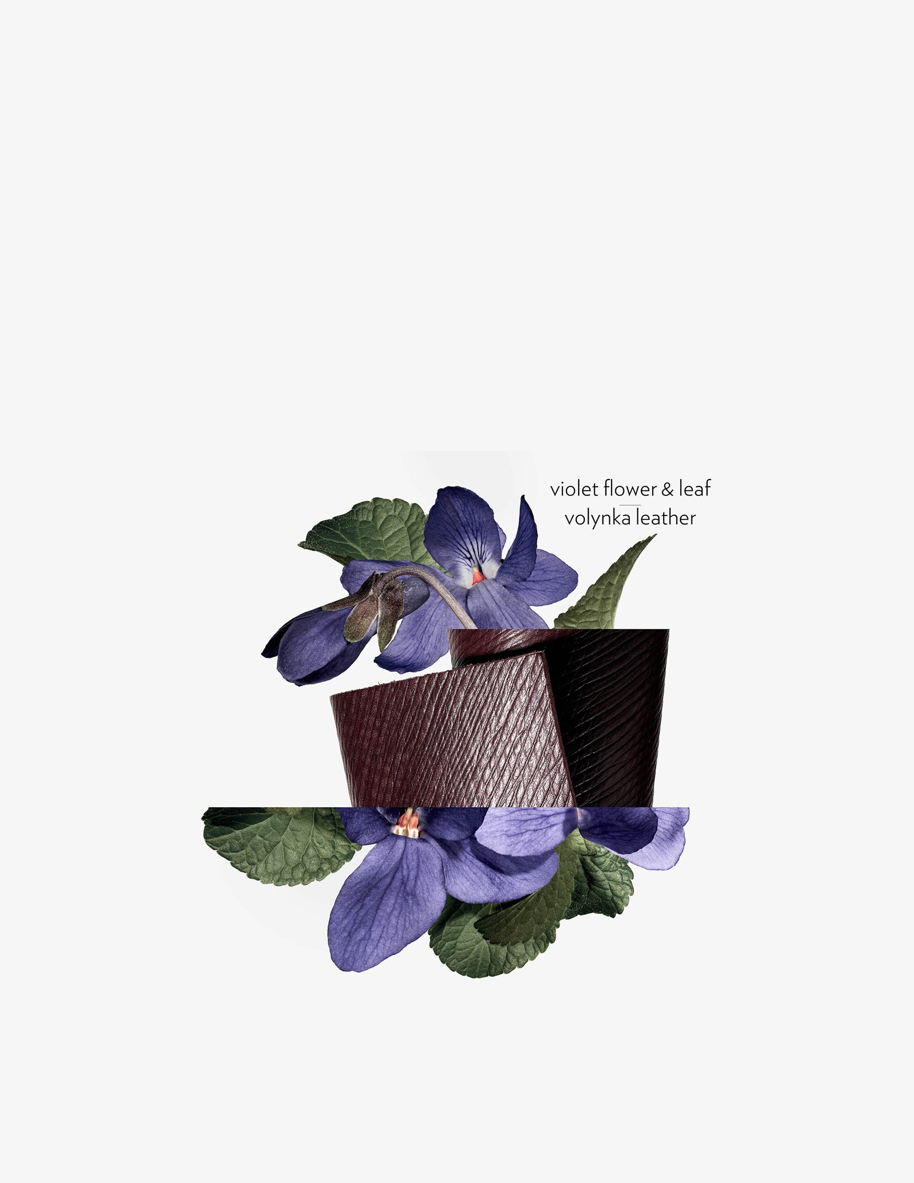 Shop HERMÈS Hermessence Violette Volynka Eau De Toilette on Rinascente