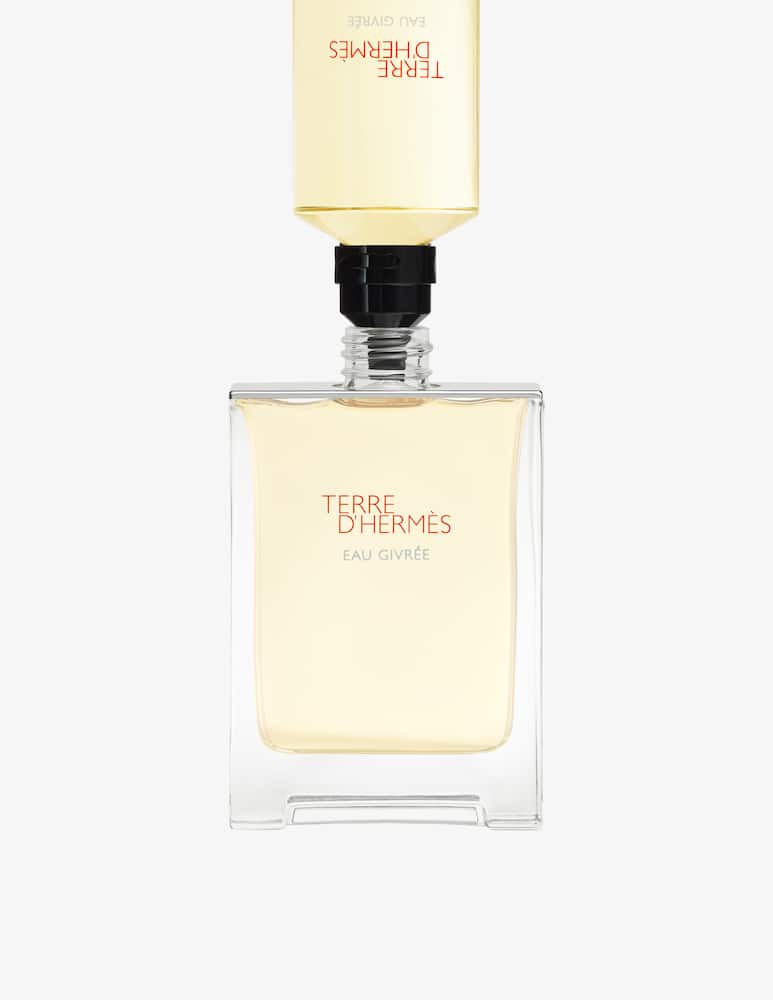 HERMÈS Terre d’Hermès Eau Givrée Eau de Parfum - immagine 4
