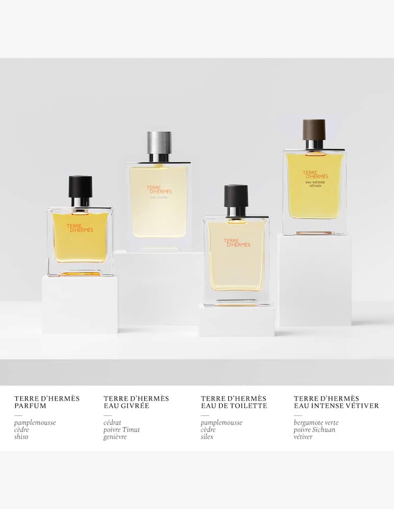 HERMÈS Terre d’Hermès Eau Givrée Eau de Parfum - immagine 7