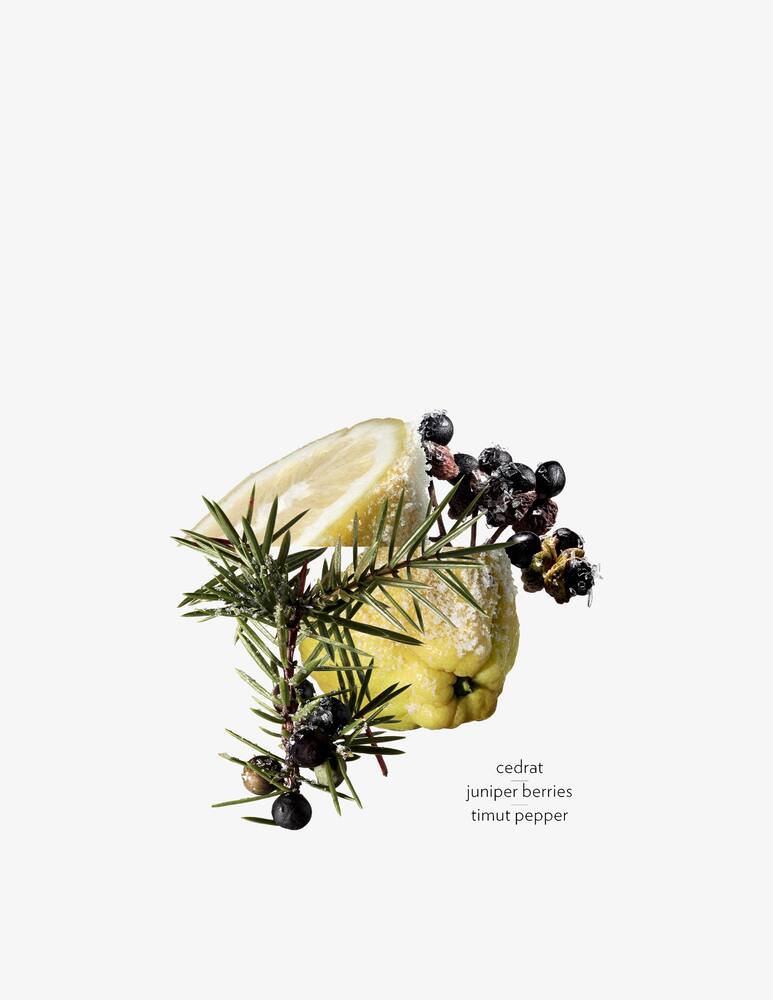 rinascente HERMÈS Terre d’Hermès Eau Givrée Ricarica Eau de Parfum