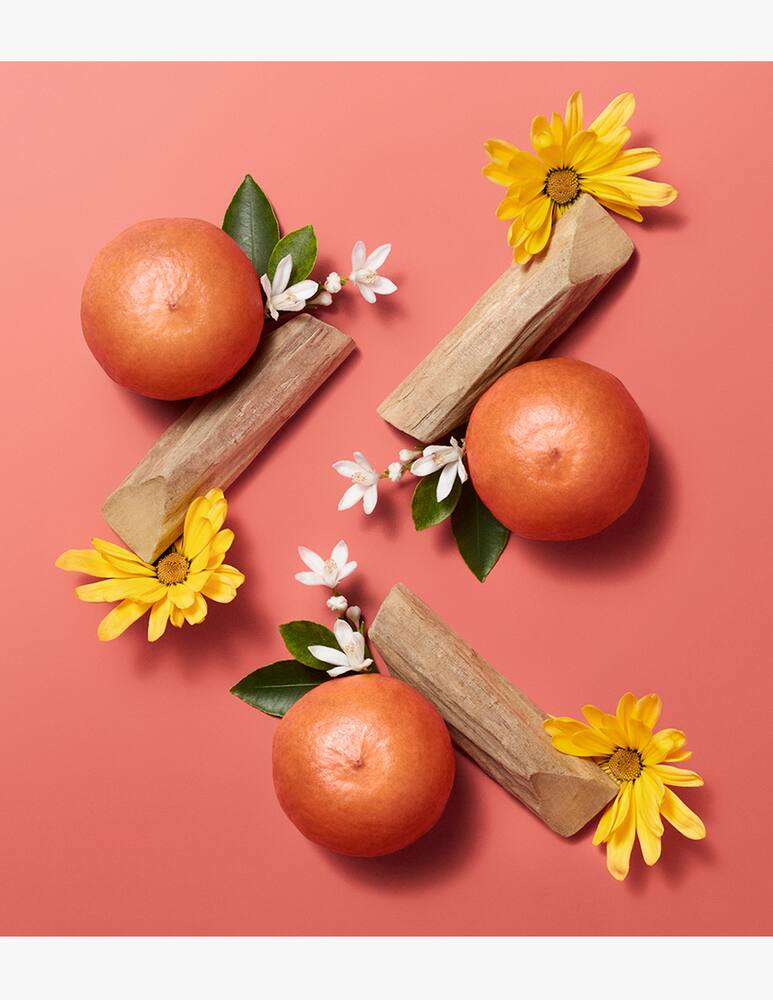 rinascente HERMÈS Hermèsistible olio infuso labbra