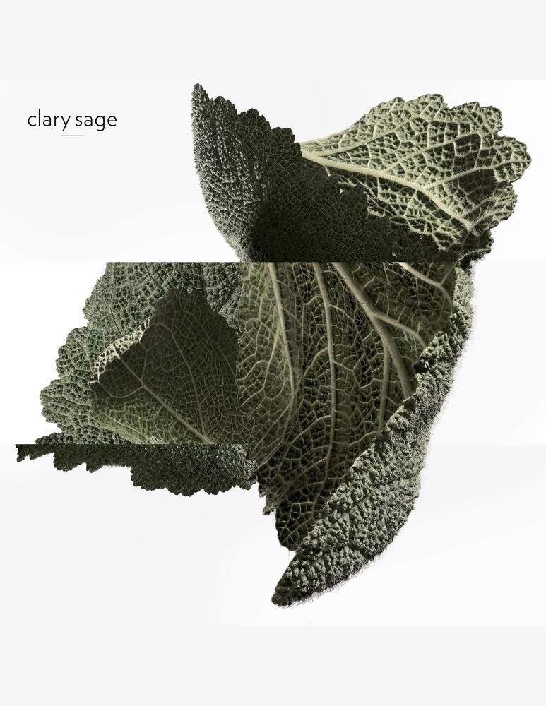 rinascente HERMÈS H24 Eau de Parfum 