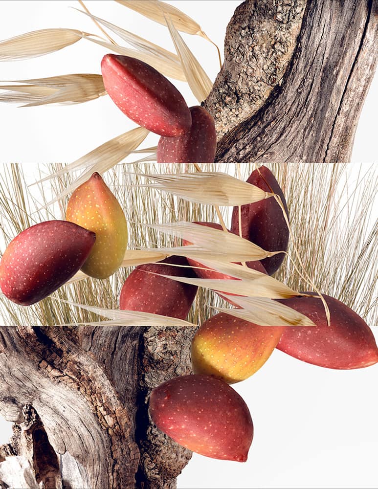 HERMÈS Un Jardin à Cythère Eau de Toilette - picture 3