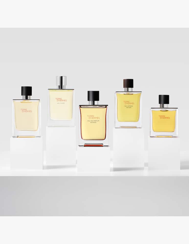 HERMÈS Terre d'Hermès Eau de Parfum Intense - picture 6 HERMÈS Terre d'Hermès Eau de Parfum Intense - picture 6