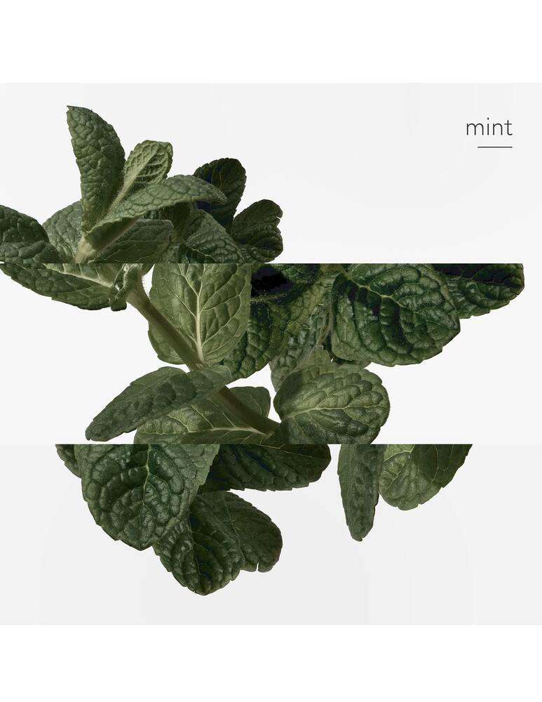 rinascente HERMÈS Eau d'Orange Verte Eau de Cologne 