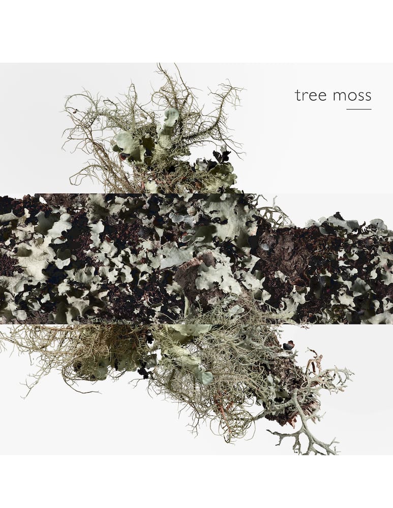 rinascente HERMÈS Eau d'Orange Verte Eau de Cologne 