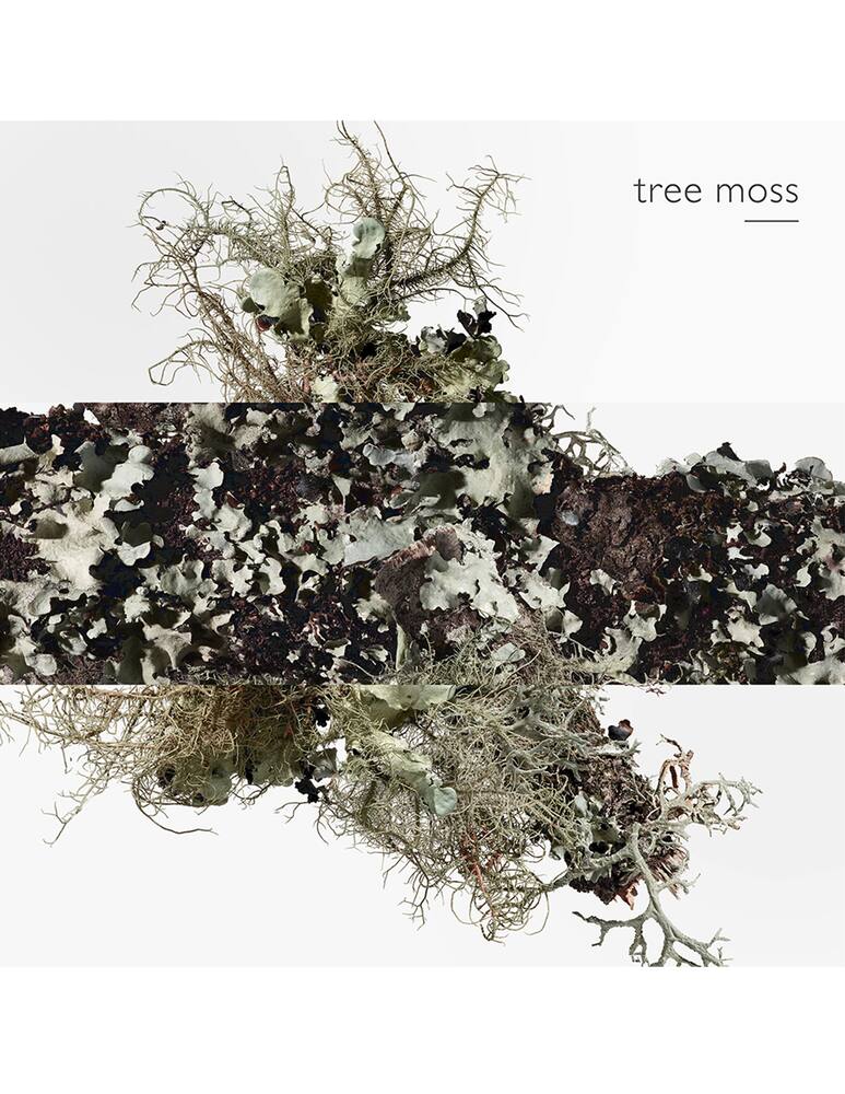 rinascente HERMÈS Eau d'Orange Verte Eau de Cologne flacone