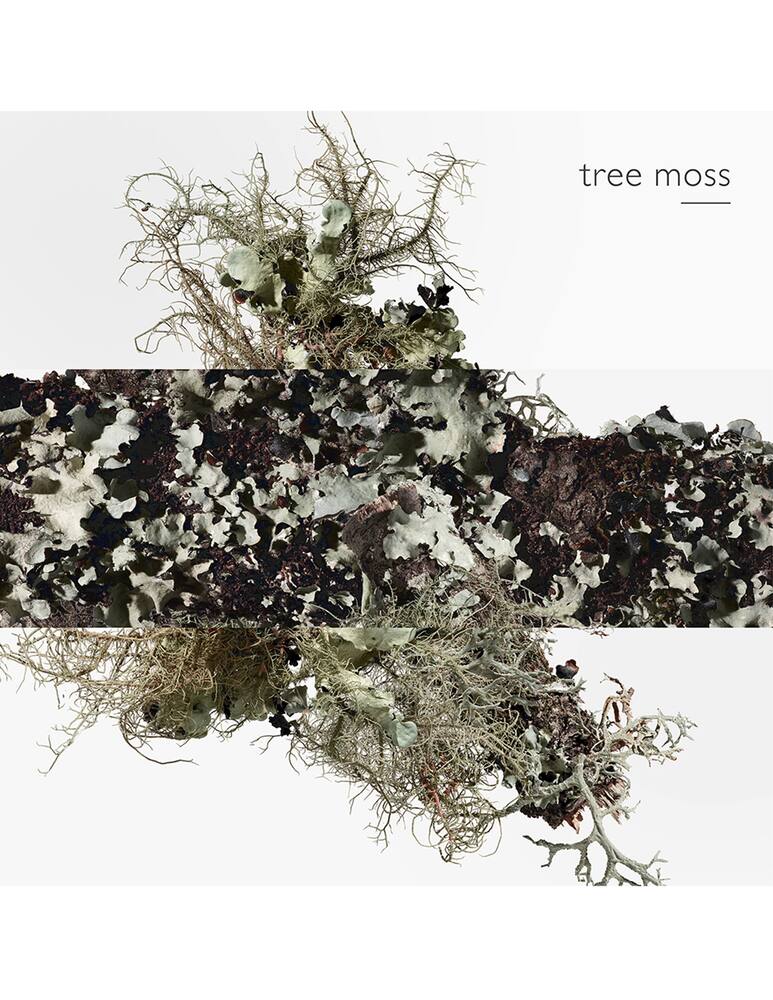 rinascente HERMÈS Eau d'Orange Verte Eau de Cologne 