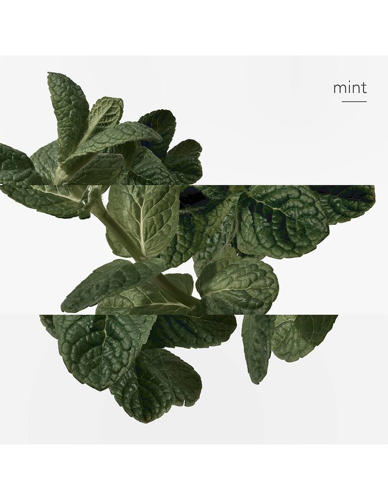 rinascente HERMÈS Eau d'Orange Verte Eau de Cologne 