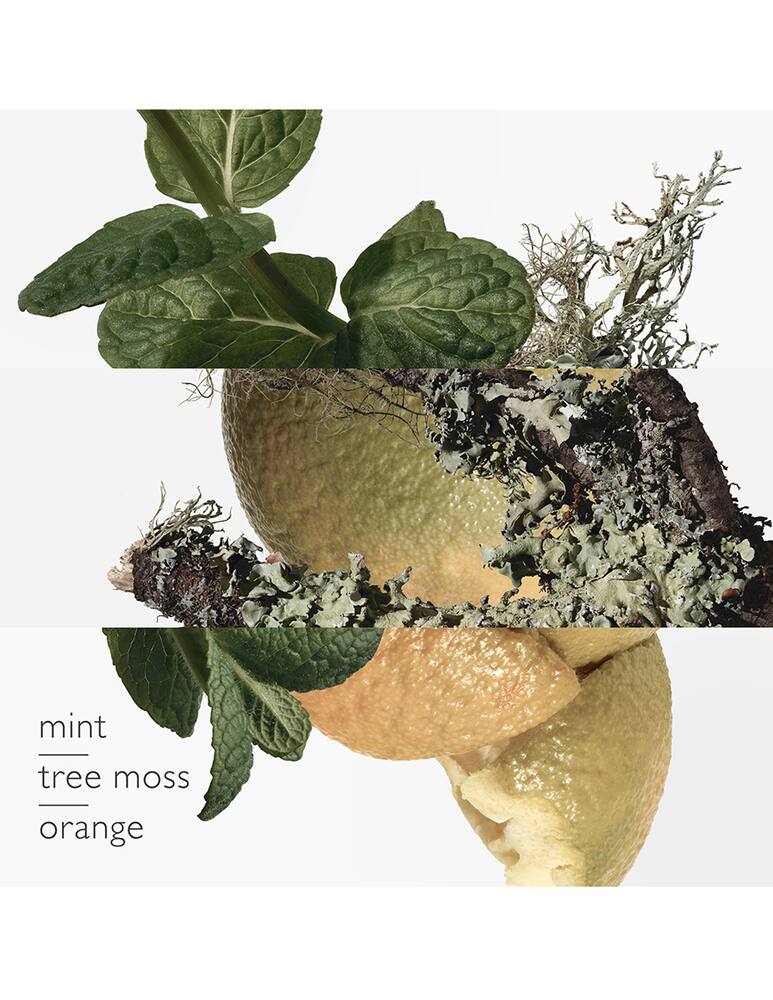 rinascente HERMÈS Eau d'Orange Verte Eau de Cologne 