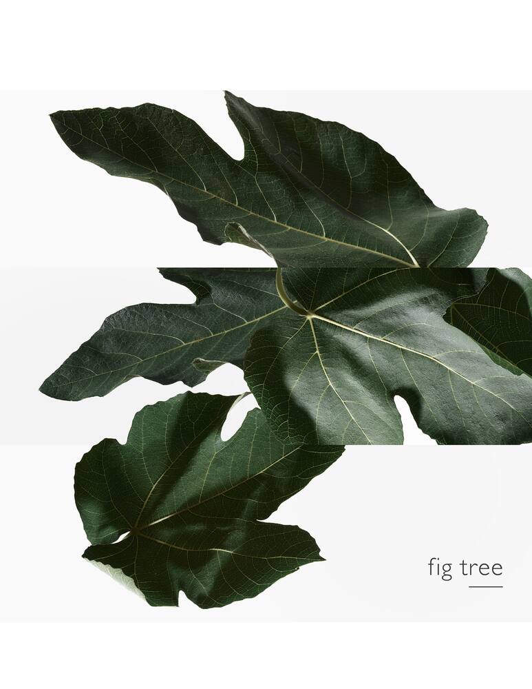 rinascente HERMÈS Un Jardin en Méditerranée Eau de Toilette 