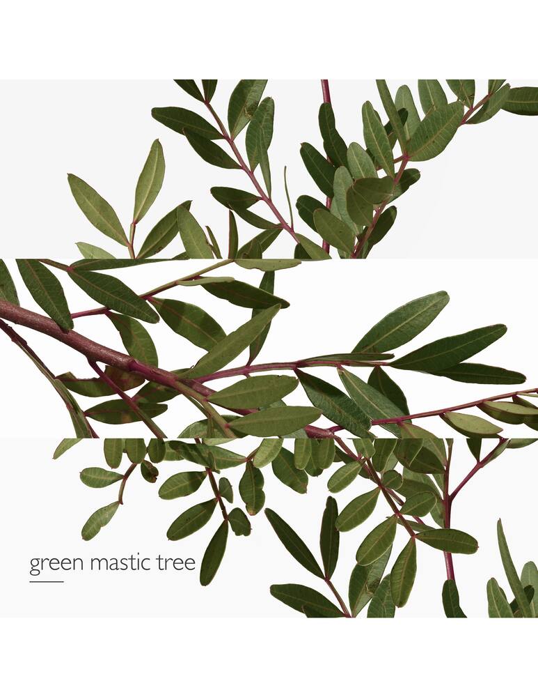 rinascente HERMÈS Un Jardin en Méditerranée Eau de Toilette 