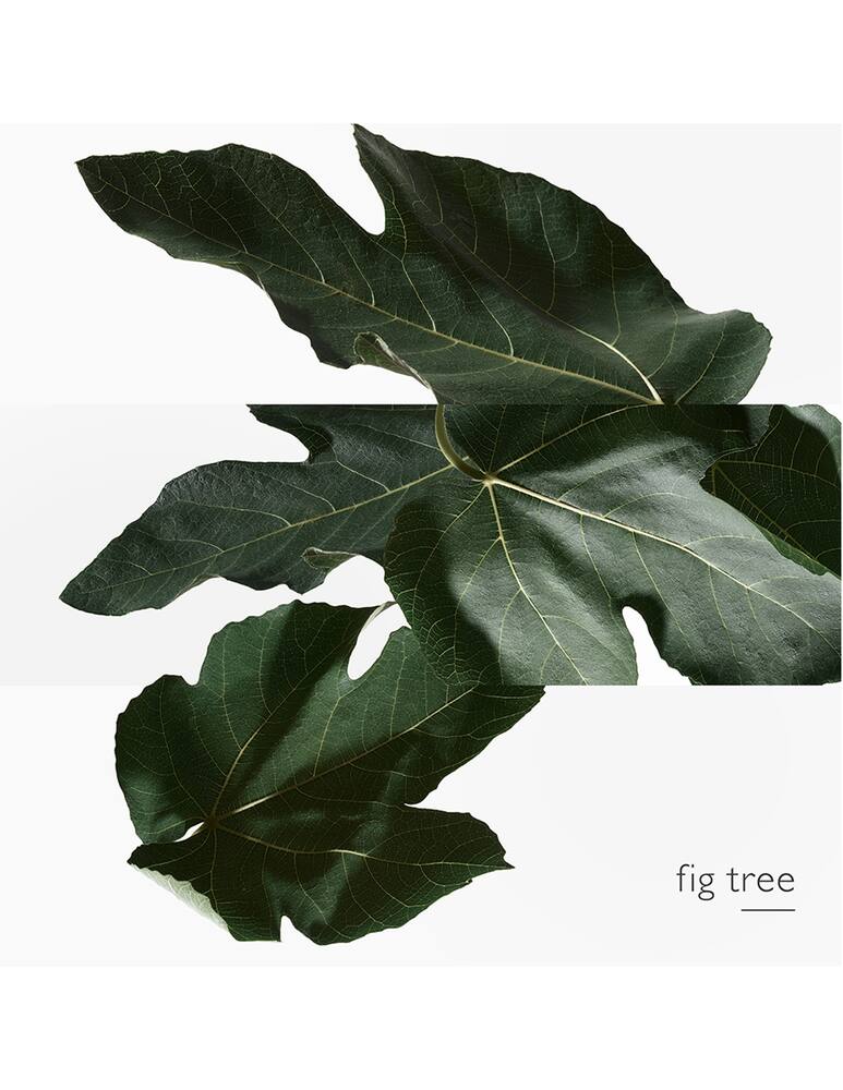 rinascente HERMÈS Un Jardin en Méditerranée Eau de Toilette 