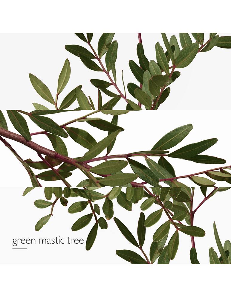 rinascente HERMÈS Un Jardin en Méditerranée Eau de Toilette 