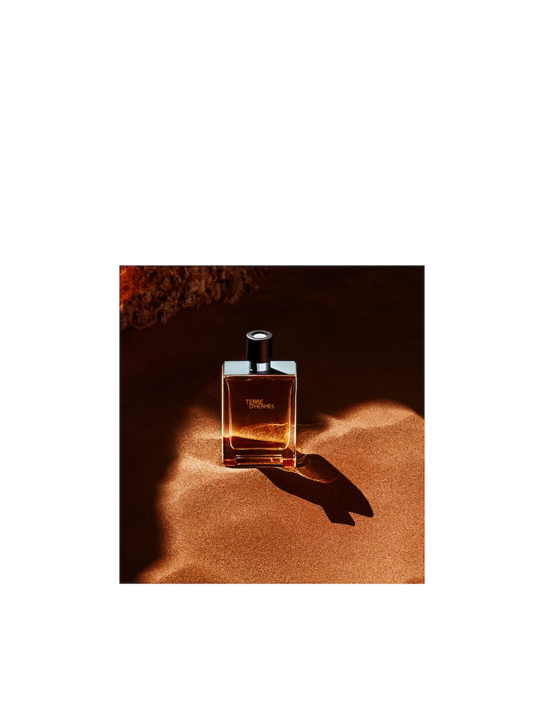 HERMÈS Terre d'Hermès Eau de Toilette - picture 3 HERMÈS Terre d'Hermès Eau de Toilette - picture 3