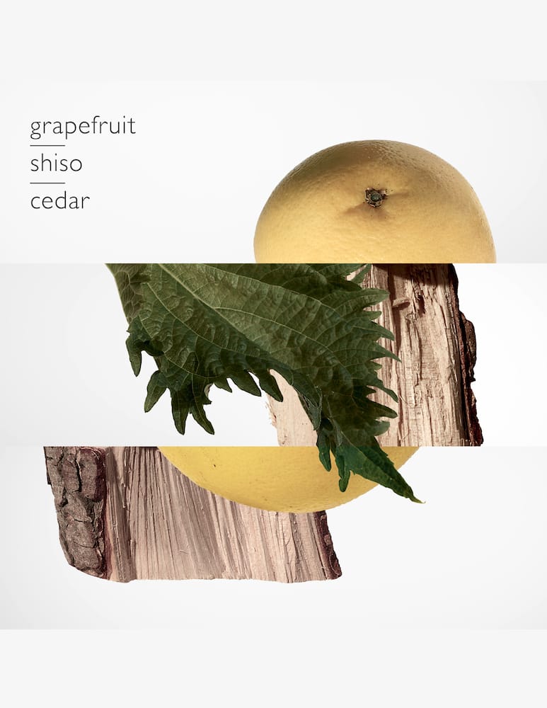 rinascente HERMÈS Terre d'Hermès Parfum 