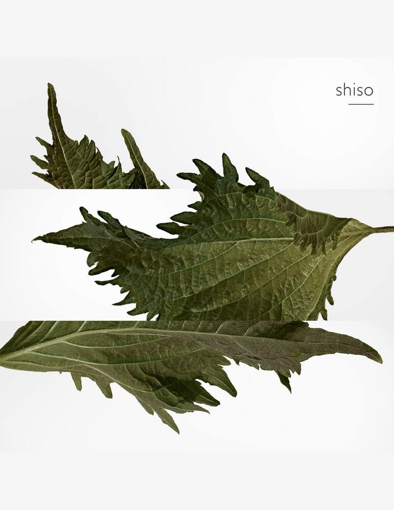 rinascente HERMÈS Terre d'Hermès Parfum 