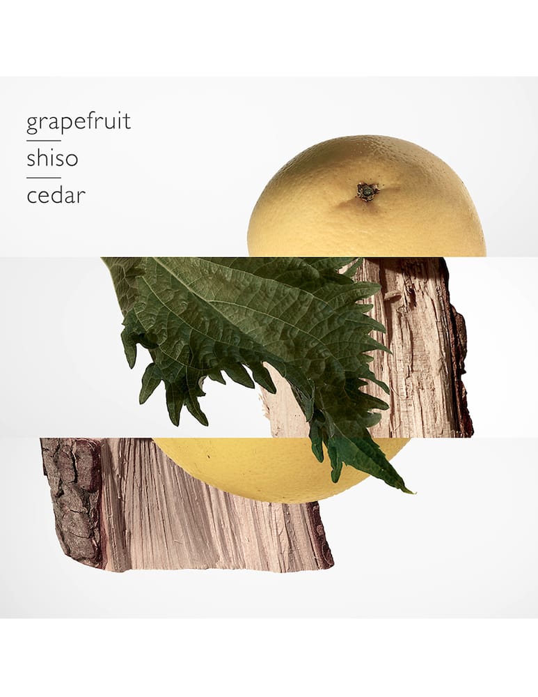 rinascente HERMÈS Terre d'Hermès Parfum 