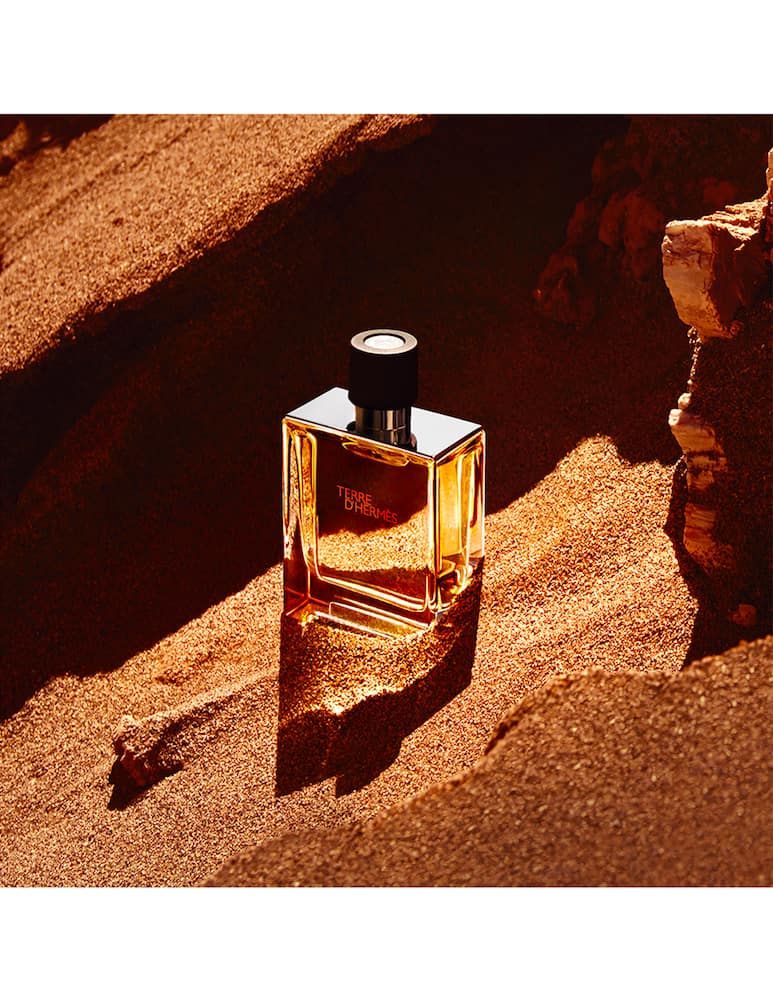 HERMÈS Terre d'Hermès Parfum - picture 4 HERMÈS Terre d'Hermès Parfum - picture 4