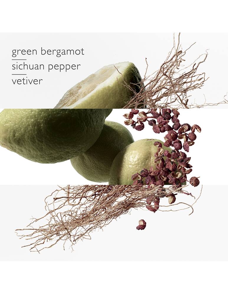 rinascente HERMÈS Terre d'Hermès Eau Intense Vétiver Eau de Parfum 