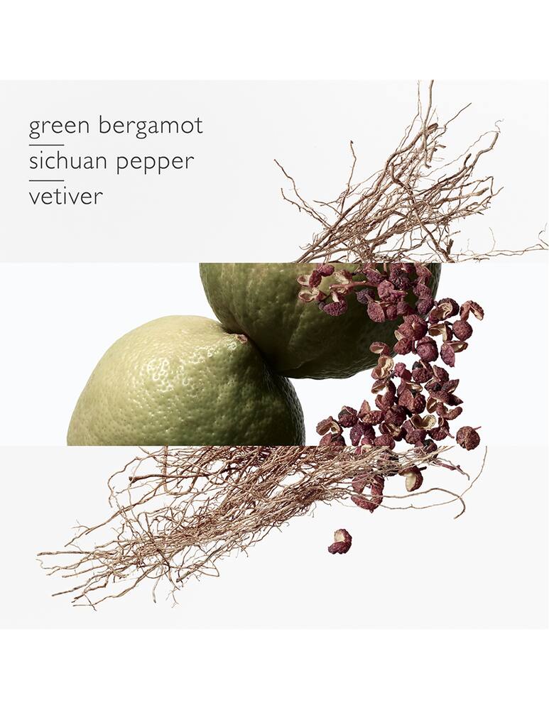 rinascente HERMÈS Terre d'Hermès Eau Intense Vetiver Eau de Parfum 