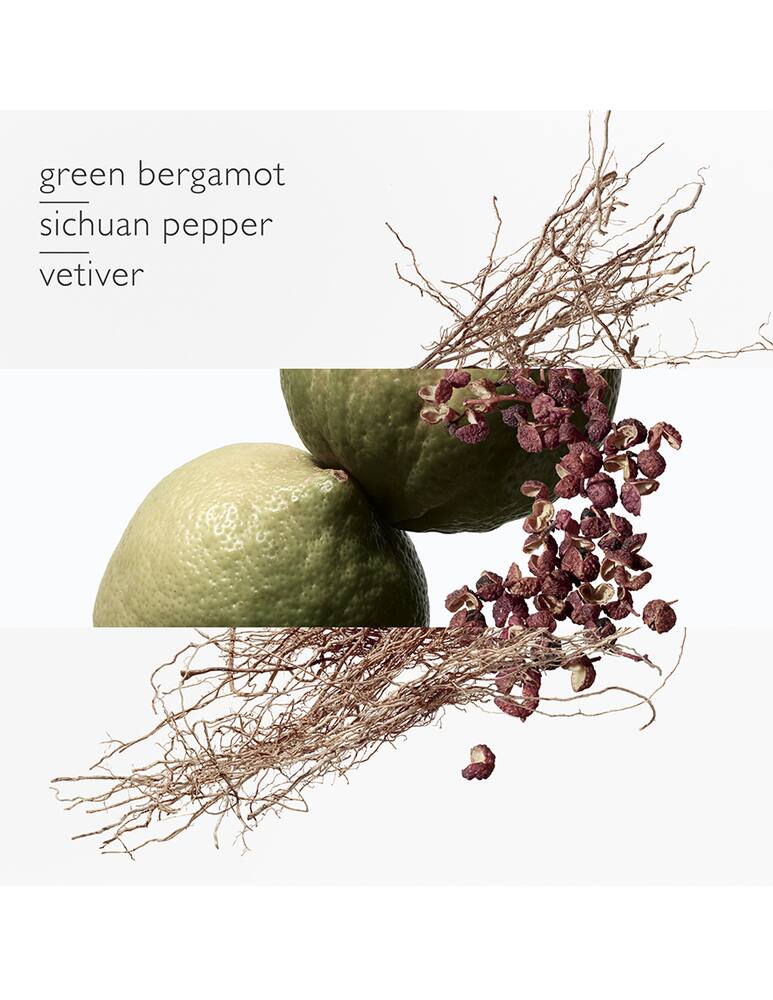 rinascente HERMÈS Terre d'Hermès Eau Intense Vetiver travel set