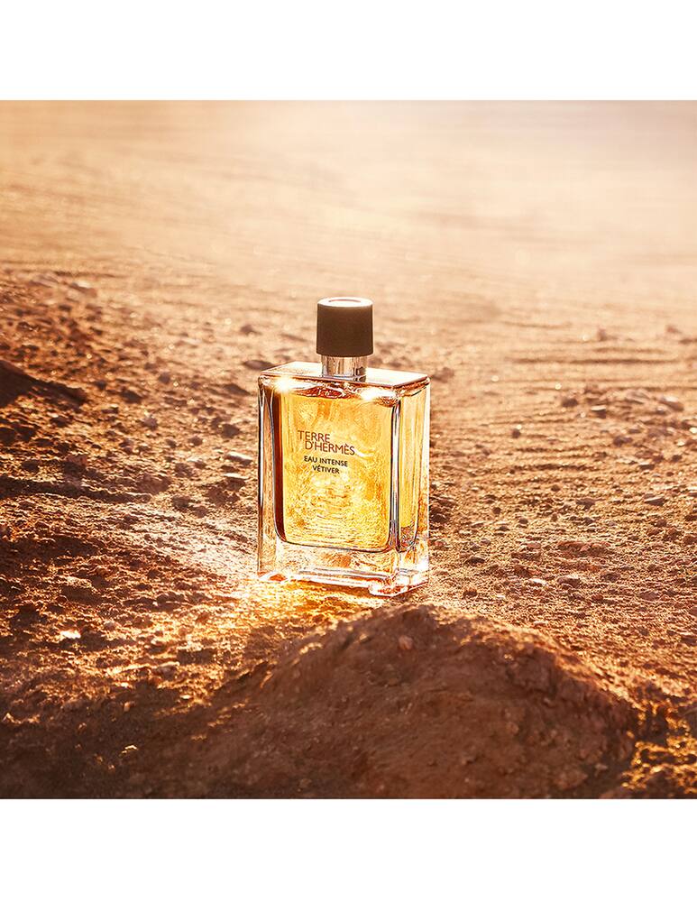 HERMÈS Terre d'Hermès Eau Intense Vetiver travel set - picture 4 HERMÈS Terre d'Hermès Eau Intense Vetiver travel set - picture 4