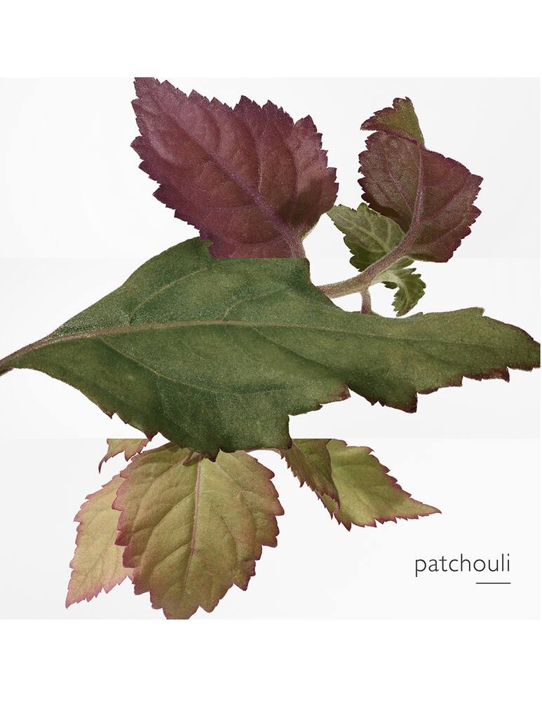 rinascente HERMÈS L'Ambre des Merveilles Eau de Parfum 