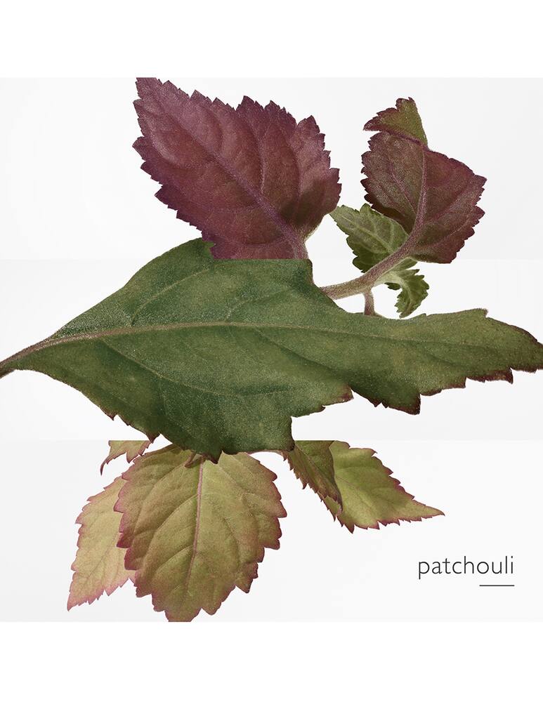 rinascente HERMÈS Eau des Merveilles Bleue Eau de Toilette 