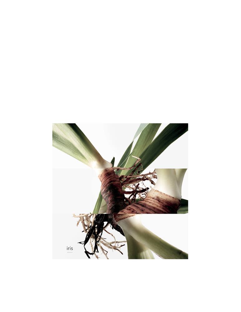 rinascente HERMÈS Eau de Gentiane Blanche Eau de Cologne