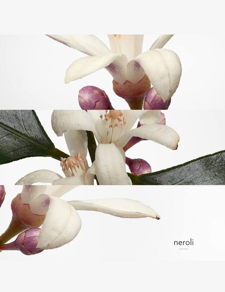 rinascente HERMÈS Eau de Néroli Dorée Eau de Cologne