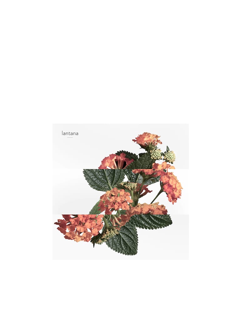 rinascente HERMÈS Eau de Rhubarbe Ecarlate Eau de Cologne