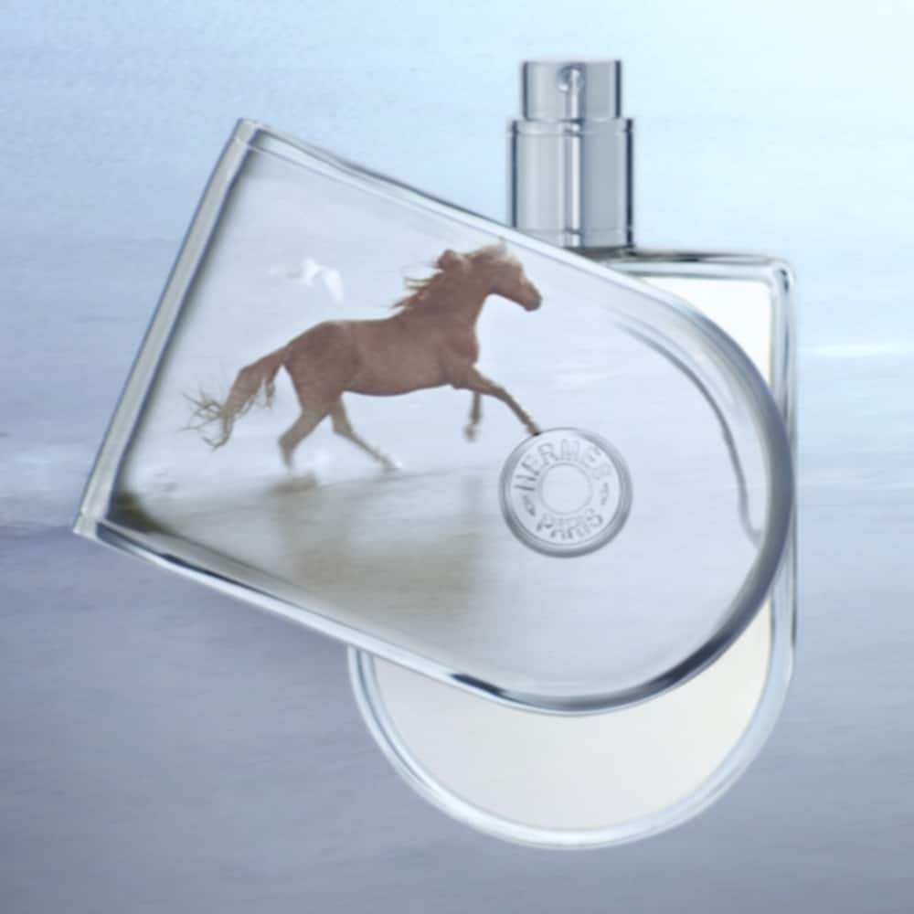 HERMÈS Voyage d'Hermès Eau de Toilette - picture 3 HERMÈS Voyage d'Hermès Eau de Toilette - picture 3