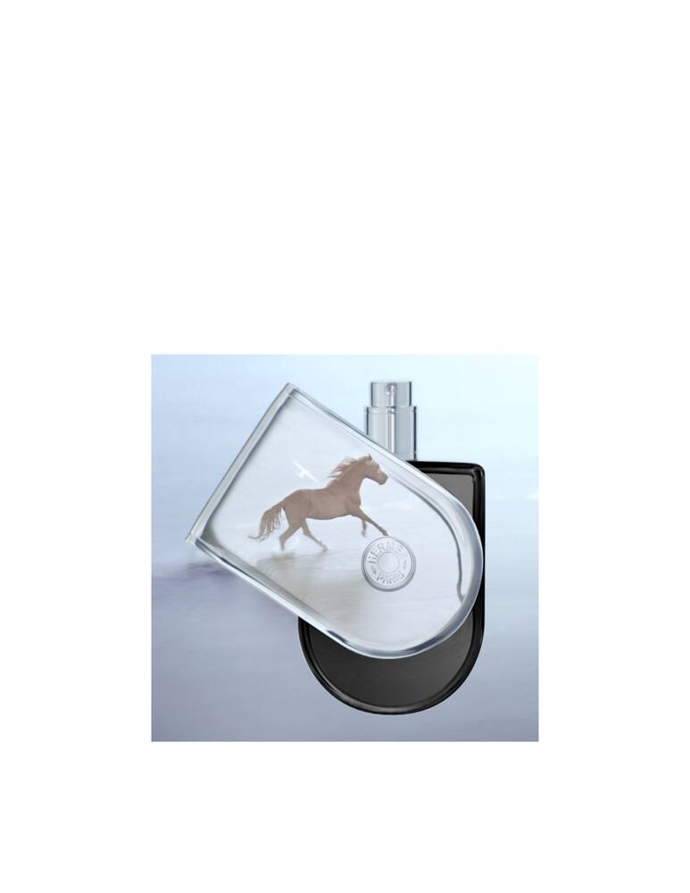 rinascente HERMÈS Voyage d'Hermès Parfum 