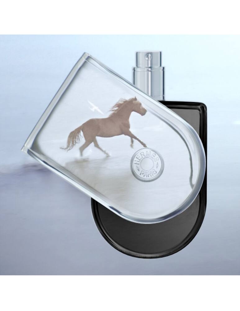 rinascente HERMÈS Voyage d'Hermès Parfum 