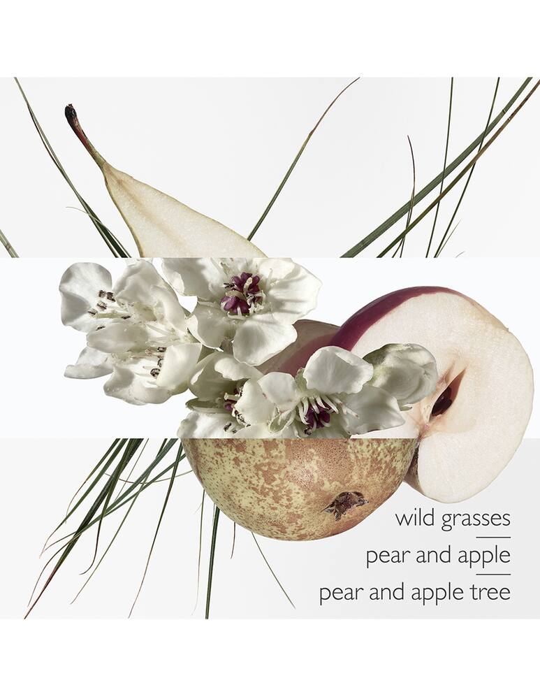 rinascente HERMÈS Un Jardin sur le Toit Eau de Toilette 