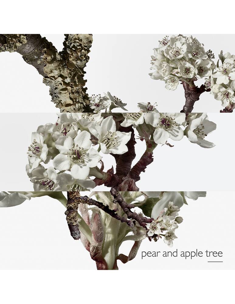 rinascente HERMÈS Un Jardin sur le Toit Eau de Toilette 