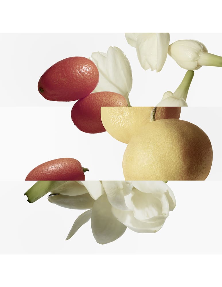 HERMÈS Le Jardin de Monsieur Li Eau de Toilette - immagine 4 HERMÈS Le Jardin de Monsieur Li Eau de Toilette - immagine 4